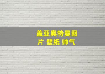 盖亚奥特曼图片 壁纸 帅气